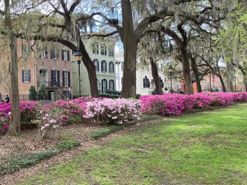 Savannah: Highlights & Hidden Gems Guided Walking Tour